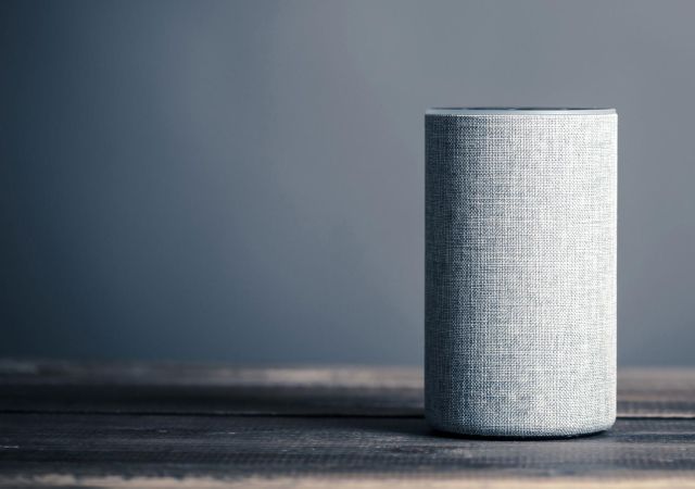 Alexa Voice Control